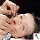 20120221144630-vacuna.jpg
